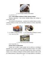 Term Papers 'Uzņēmuma SIA "Aironi" nākotnes attīstības iespējas', 22.