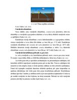 Term Papers 'Uzņēmuma SIA "Aironi" nākotnes attīstības iespējas', 25.