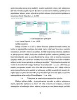 Term Papers 'Uzņēmuma SIA "Aironi" nākotnes attīstības iespējas', 29.