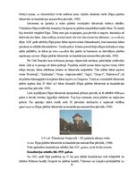 Term Papers 'Uzņēmuma SIA "Aironi" nākotnes attīstības iespējas', 30.