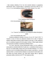 Term Papers 'Uzņēmuma SIA "Aironi" nākotnes attīstības iespējas', 34.