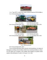 Term Papers 'Uzņēmuma SIA "Aironi" nākotnes attīstības iespējas', 35.