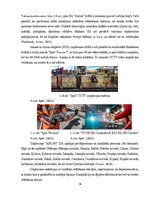 Term Papers 'Uzņēmuma SIA "Aironi" nākotnes attīstības iespējas', 36.