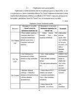 Term Papers 'Uzņēmuma SIA "Aironi" nākotnes attīstības iespējas', 38.