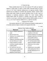 Term Papers 'Uzņēmuma SIA "Aironi" nākotnes attīstības iespējas', 40.