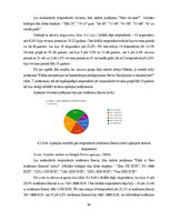 Term Papers 'Uzņēmuma SIA "Aironi" nākotnes attīstības iespējas', 46.