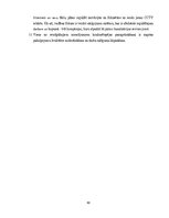 Term Papers 'Uzņēmuma SIA "Aironi" nākotnes attīstības iespējas', 60.