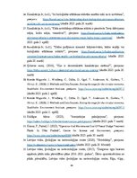 Term Papers 'Uzņēmuma SIA "Aironi" nākotnes attīstības iespējas', 64.