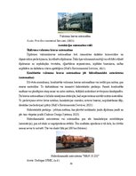 Term Papers 'Uzņēmuma SIA "Aironi" nākotnes attīstības iespējas', 70.