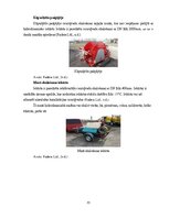 Term Papers 'Uzņēmuma SIA "Aironi" nākotnes attīstības iespējas', 73.