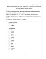 Term Papers 'Uzņēmuma SIA "Aironi" nākotnes attīstības iespējas', 74.