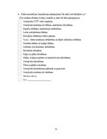 Term Papers 'Uzņēmuma SIA "Aironi" nākotnes attīstības iespējas', 76.