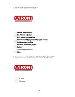 Term Papers 'Uzņēmuma SIA "Aironi" nākotnes attīstības iespējas', 79.