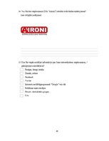 Term Papers 'Uzņēmuma SIA "Aironi" nākotnes attīstības iespējas', 80.