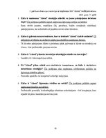 Term Papers 'Uzņēmuma SIA "Aironi" nākotnes attīstības iespējas', 81.