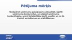 Term Papers 'Uzņēmuma SIA "Aironi" nākotnes attīstības iespējas', 85.
