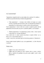 Research Papers 'Pašprezentācija un pašefektivitāte', 4.