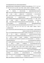 Research Papers 'Fibonači skaitļi un zelta griezums', 25.