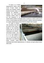 Research Papers 'Dzeramā ūdens tīrība un kvalitāte Ventspilī', 22.