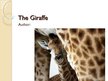 Presentations 'The Giraffe', 1.