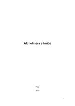Research Papers 'Alcheimera slimība', 1.