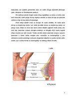 Summaries, Notes 'Fibroadenoma. Fibrocistiska krūts slimība', 4.