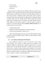 Research Papers 'A/s "Valmieras stikla šķiedra" finanšu darbības un stratēģijas analīze', 44.