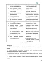 Research Papers 'A/s "Valmieras stikla šķiedra" finanšu darbības un stratēģijas analīze', 45.