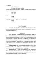 Research Papers 'Kas ir morfoloģija, leksikoloģija un Batua?', 5.