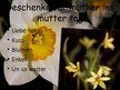 Presentations 'Mutter Tag', 5.