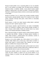 Essays 'Korupcija – tiesiska, ētiska un sociāla problēma', 1.