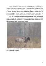 Research Papers 'Savvaļas zirgi Jelgavā', 7.
