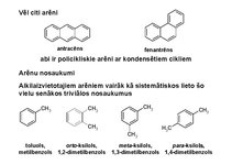 Presentations 'Alkīni un arēni', 25.