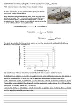 Samples 'Aritmētiskie aprēķini un grafiku analīze', 3.