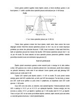 Term Papers 'DFB lāzeru parametru salīdzinājums', 22.