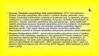 Presentations 'Pārrobežu sadarbības vispārīgie noteikumi', 12.
