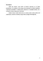 Research Papers 'Reģionālā ekonomiskā integrācija - Mercosur', 10.