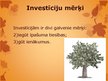 Presentations 'Investīcijas', 4.
