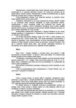 Research Papers '20.gs. mūzikas virzieni un stili', 3.
