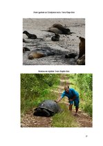 Research Papers 'Galapagu salas un ekotūrisms', 17.