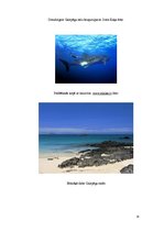 Research Papers 'Galapagu salas un ekotūrisms', 18.