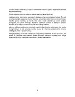 Essays 'Ražošanas funkcija un ražošanas resursu veidi', 6.