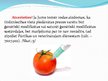 Presentations 'Ģenētiski modificētā pārtika', 9.