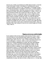 Summaries, Notes 'Zigmunds Freids "Sapņa interpretācija"', 7.