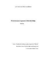 Research Papers 'Protorenesanses izpausmes tēlniecībā Itālijā', 1.