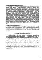 Research Papers 'Portugāles tūrisma institūts', 4.
