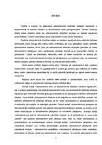 Term Papers 'Lēmuma par administratīvā soda uzlikšanu tiesiskā daba', 2.