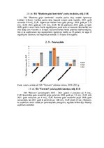 Research Papers 'Gaļas nozares uzņēmumu finanšu novērtējums laikā no 2019.gada līdz 2021.gadam', 12.