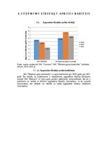 Research Papers 'Gaļas nozares uzņēmumu finanšu novērtējums laikā no 2019.gada līdz 2021.gadam', 22.