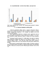 Research Papers 'Gaļas nozares uzņēmumu finanšu novērtējums laikā no 2019.gada līdz 2021.gadam', 29.